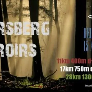 Ungersberg 3 Terroirs - U3T
