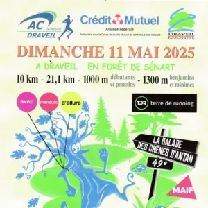 La Balade des Chênes d'Antan