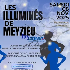Les Illuminés de Meyzieu