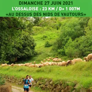 L'Ossaloise