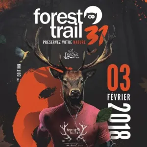 Forest Trail 31