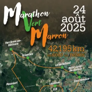 Run in Gât