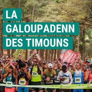La Galoupadenn des Timouns