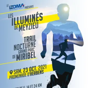 Les Illuminés de Meyzieu