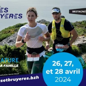 Landes et Bruyères