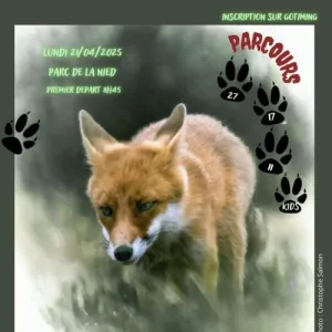 Foxtrail