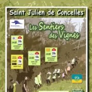 Sentiers des Vignes