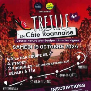 Treille en Côte Roannaise