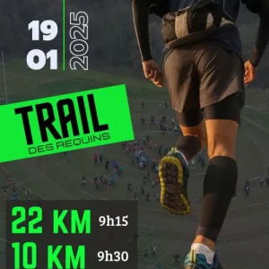 Trail des Requins