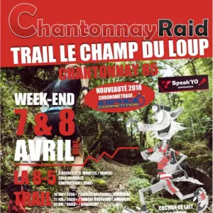 Trail Le Champ du Loup