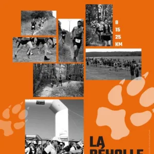 Trail de la Beholle