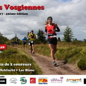 Les Crêtes Vosgiennes
