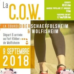 Course Oberschaeffolsheim Wolfisheim