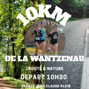 10 km de la Wantzenau