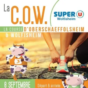 Course Oberschaeffolsheim Wolfisheim