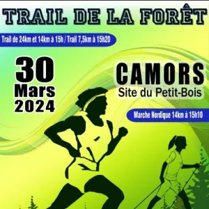 Trail de la Forêt