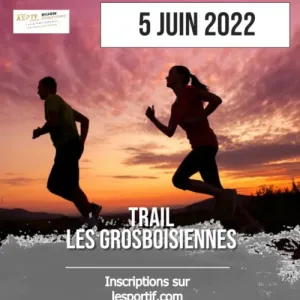Les Grosboisiennes
