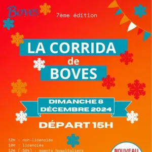 Corrida de Boves