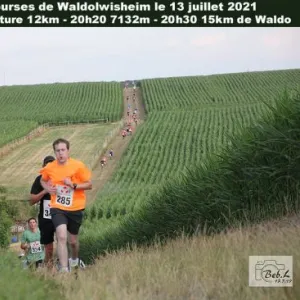 Course de Waldo