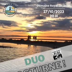 Duo Nocturne de Camargue