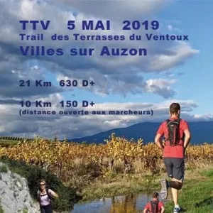 Trail des Terrasses du Ventoux