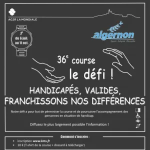 Défis Algernon