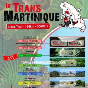 La Transmartinique