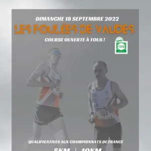 Les Foulées de Vaudes