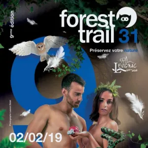 Forest Trail 31