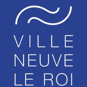 Les Foulées de Villeneuve-le-Roi