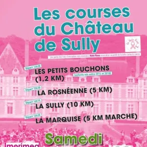 Les Courses du Château de Sully