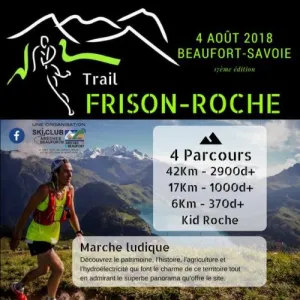 La Frison-Roche