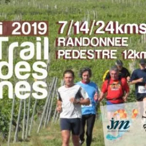 Trail des Vignes