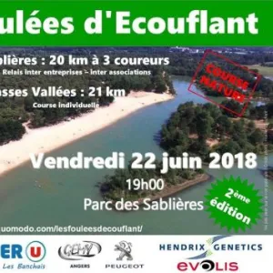 Les Foulées d'Ecouflant