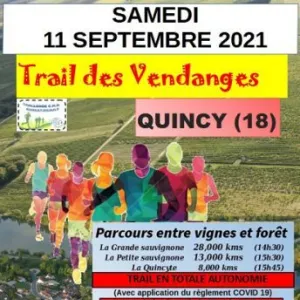 Trail des Vendanges