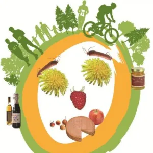 Trail des Terroirs Vosgiens