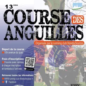 Course des Anguilles