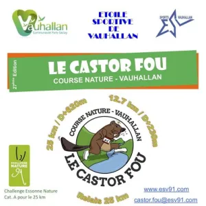Castor Fou