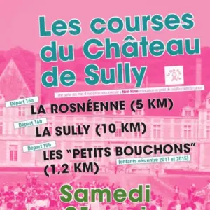 Les Courses du Château de Sully