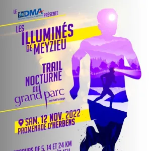 Les Illuminés de Meyzieu