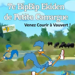 Bip Bip Ekiden de Petite Camargue