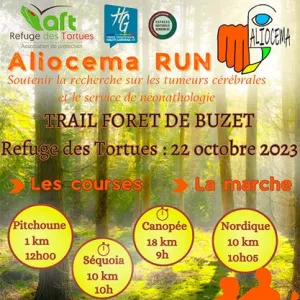 Aliocema Run