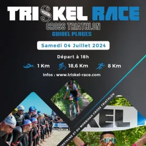 Triskel Race