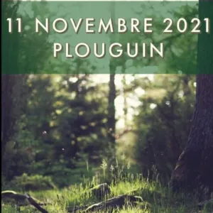 Course Nature de Plouguin