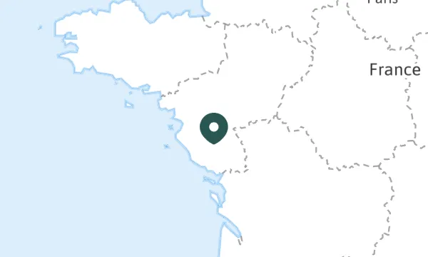 Montaigu-Vendée (85)