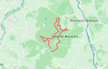 Trail Nocturne de la Forêt de Moulière - 24km