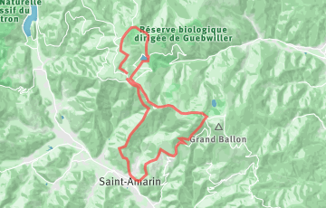 Xtrails Vosges - Trail du Grand Ballon