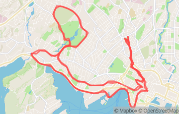 Olso Marathon