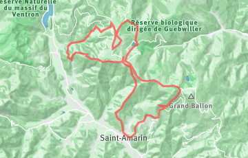Xtrails Vosges - Trail du Grand Ballon