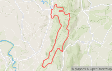 Trail du Mont Grêle - Les Roches